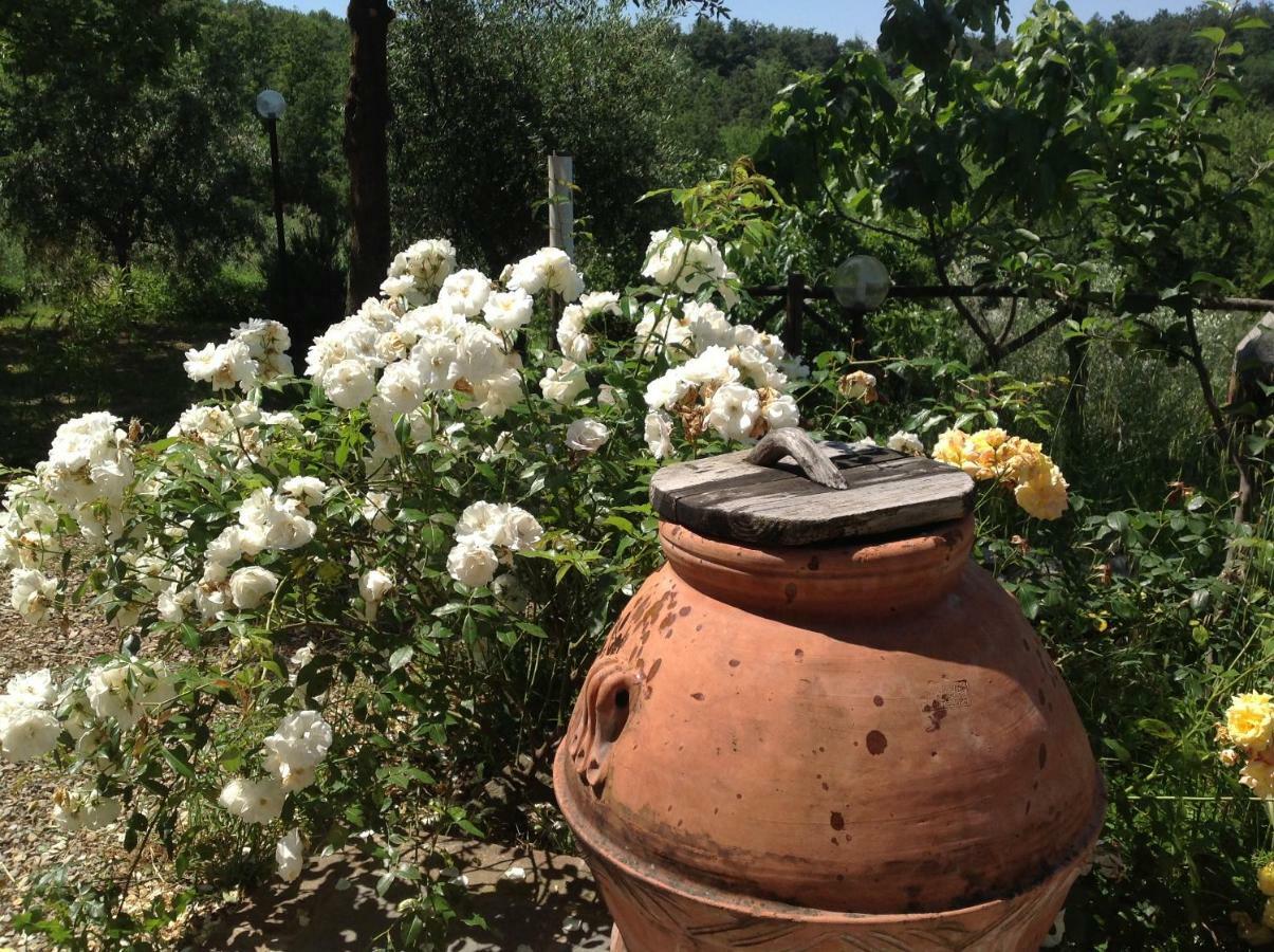 Agriturismo Prato Barone Rufina Kültér fotó